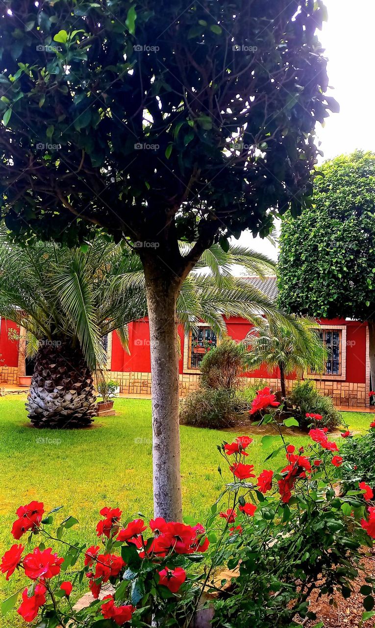 Jardín rojo y verde