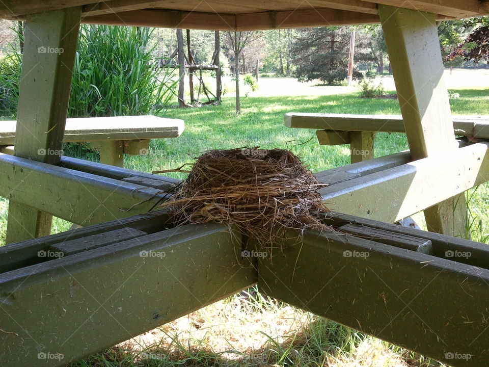 The Nest