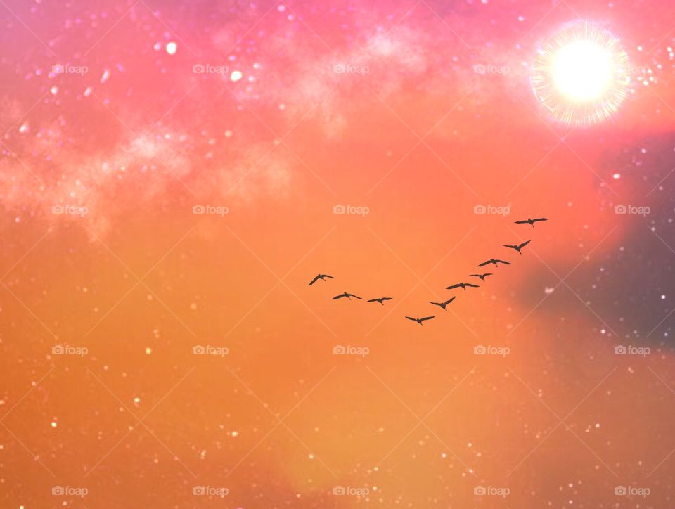 Flock of birds flying through a magical vivid sunset.