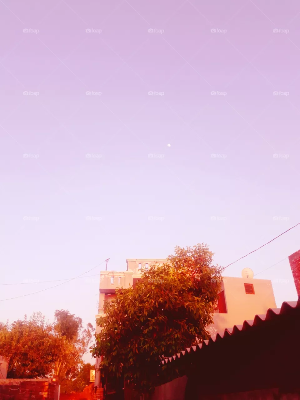 cloud