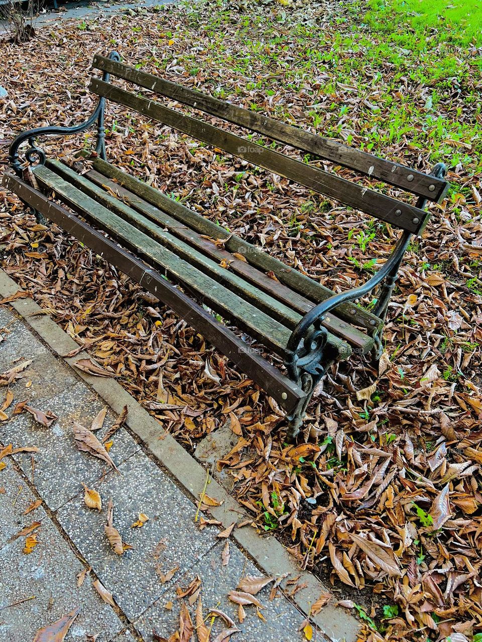 bench