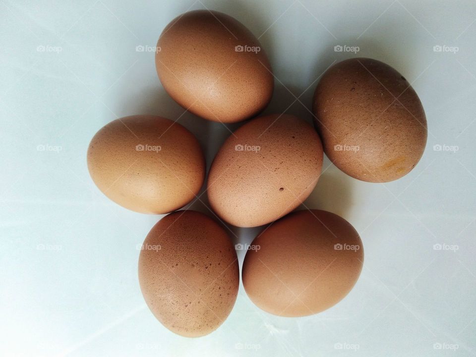 eggs