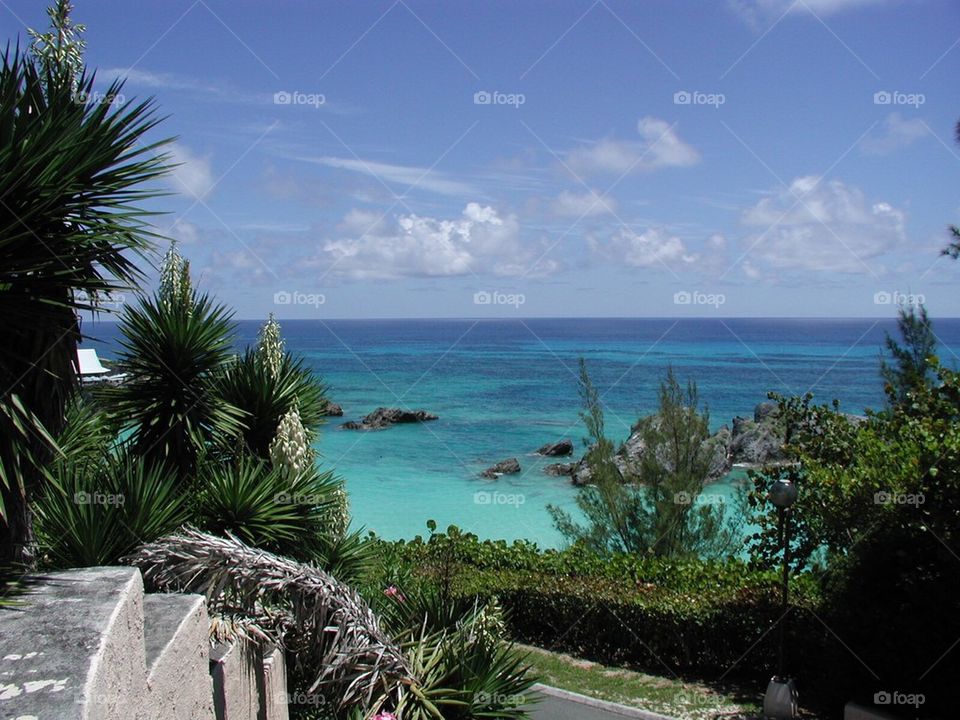 Bermuda