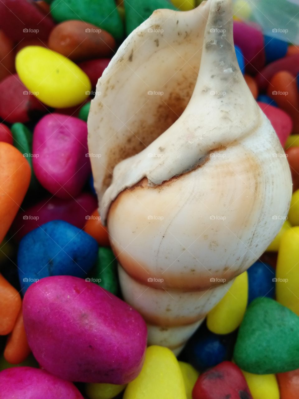 candy multicoloured beautiful