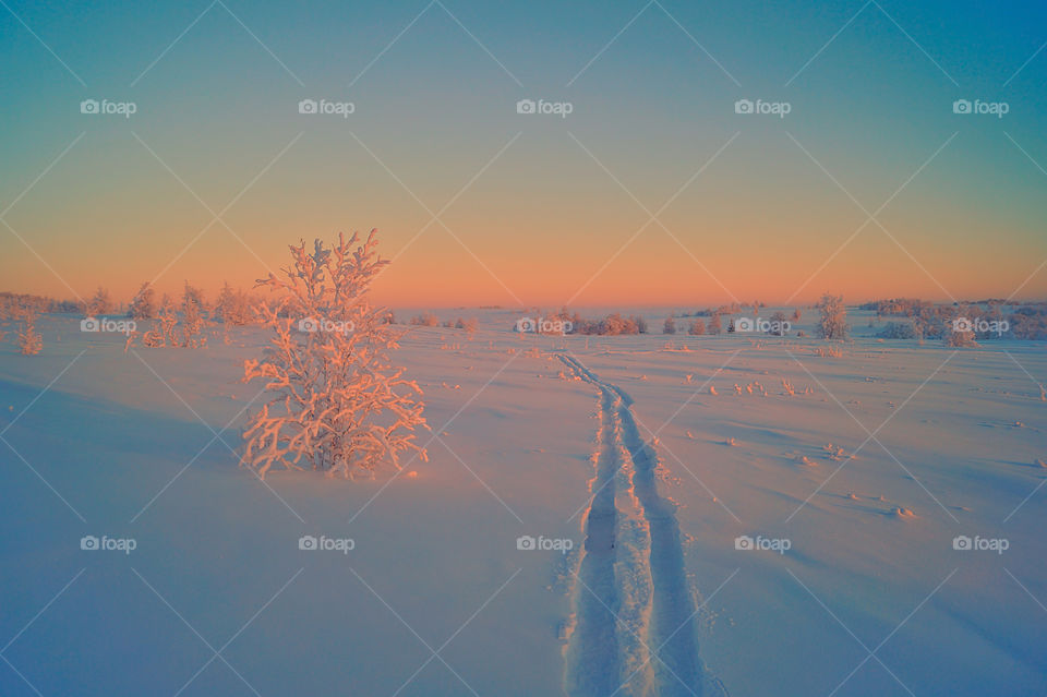 My hobby is skiing, I love to ride on the ski because it is very difficult and interesting.