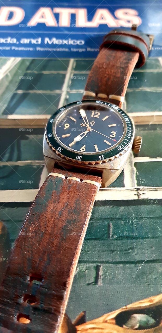 Gerlach Froggy Dive Watch Green  Leather