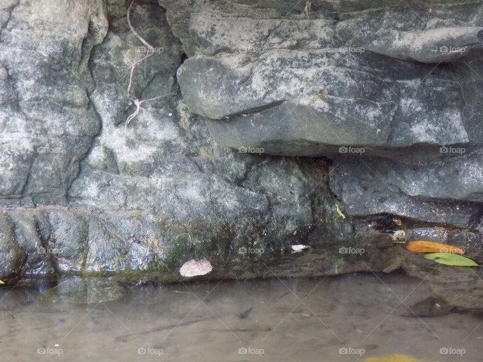 The foot of the aceh halimon