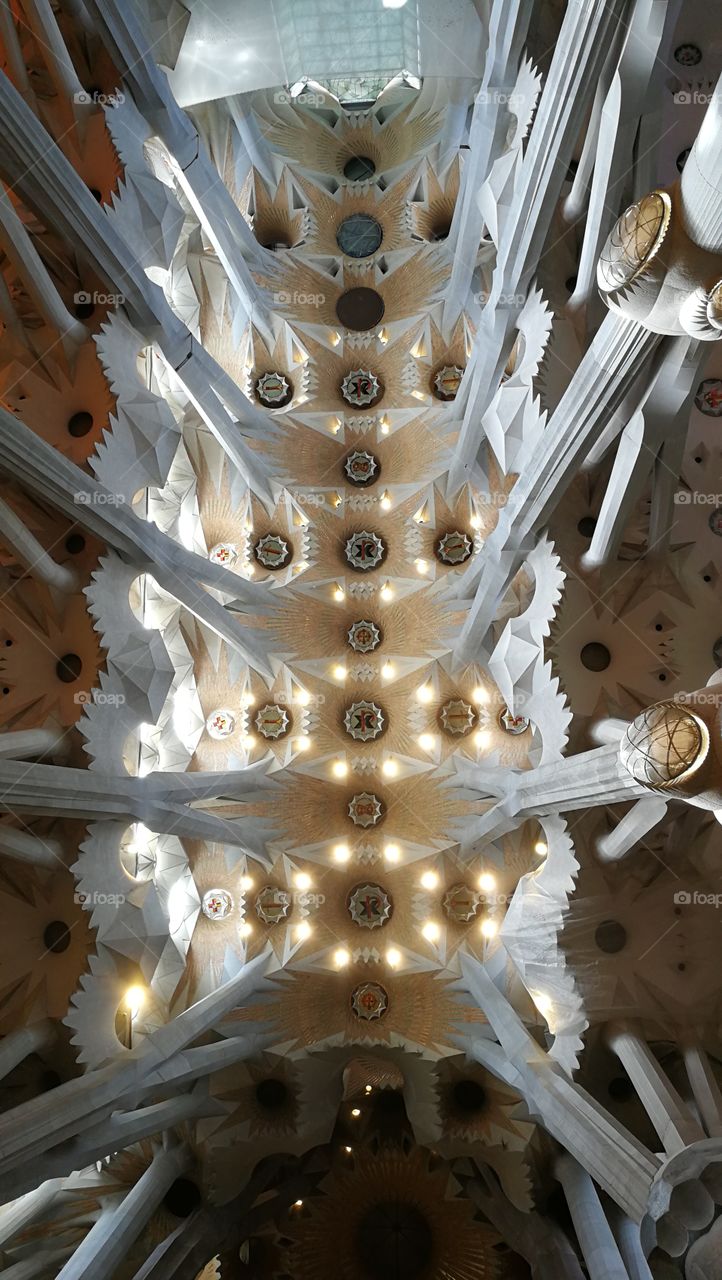 Ceiling in the Cathedral of Gaudi