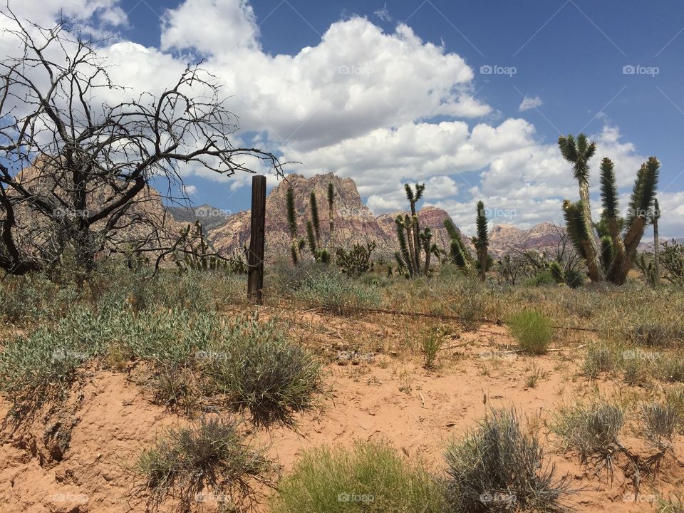 Desert view with clouds