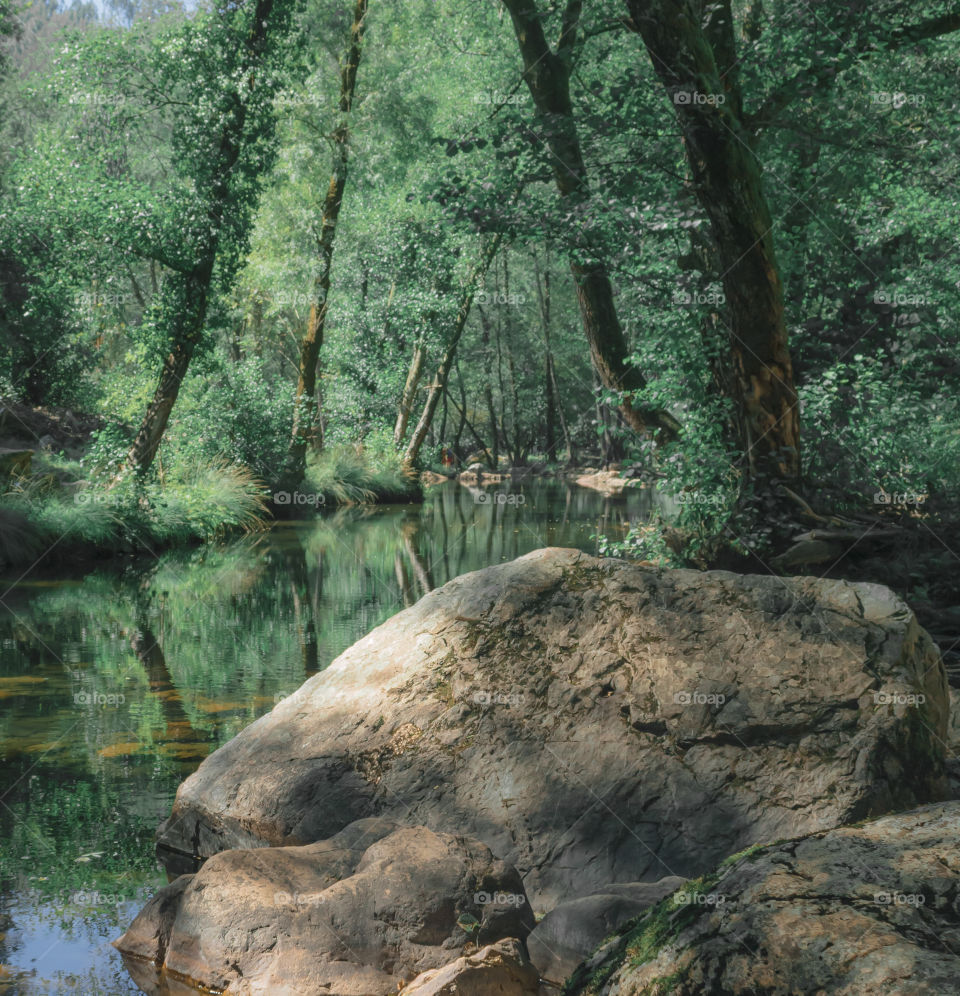 View down a river with trees on either side and rocks in the foreground 