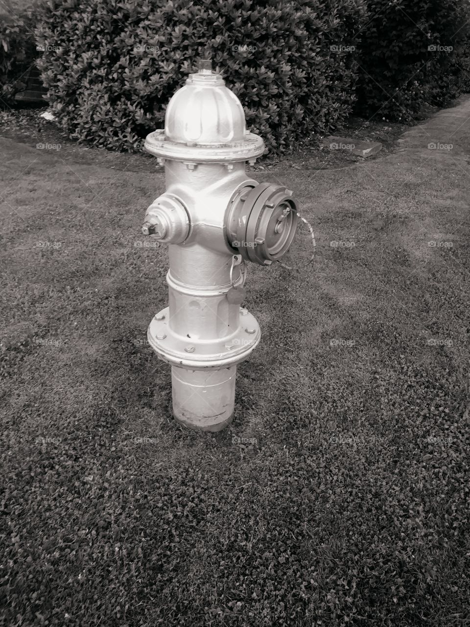 Black and white fire hydrant