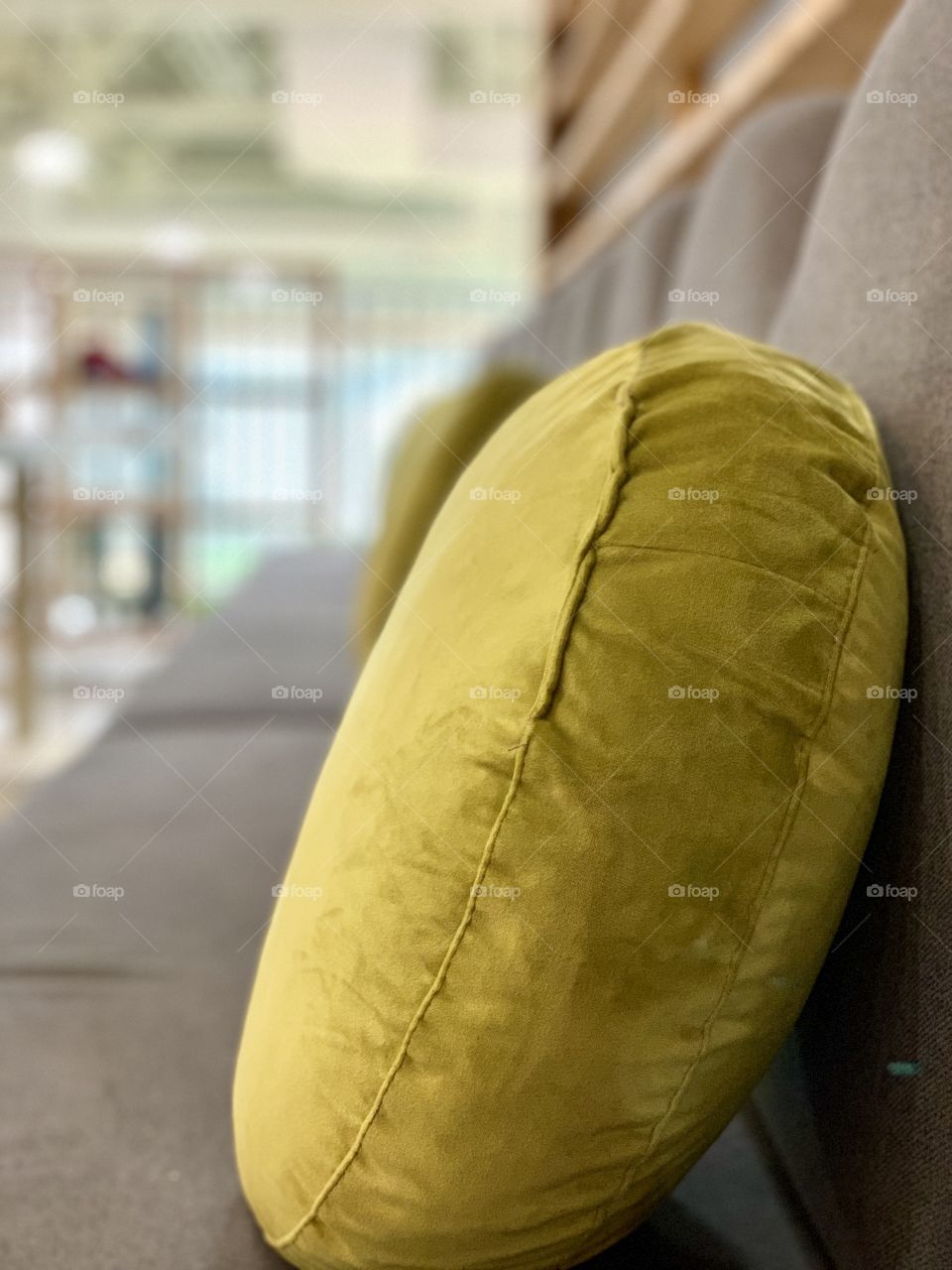 sofa cushion on the couch