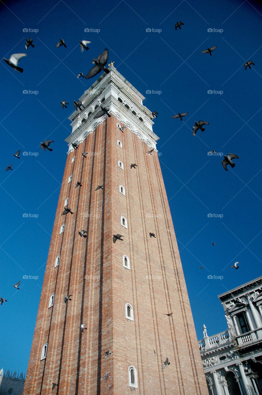 italy city birds buildings by illusionfactory