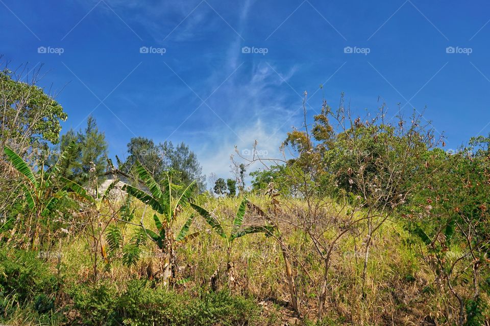 corner of a village in Nusa Tenggara Timur of Indonesia