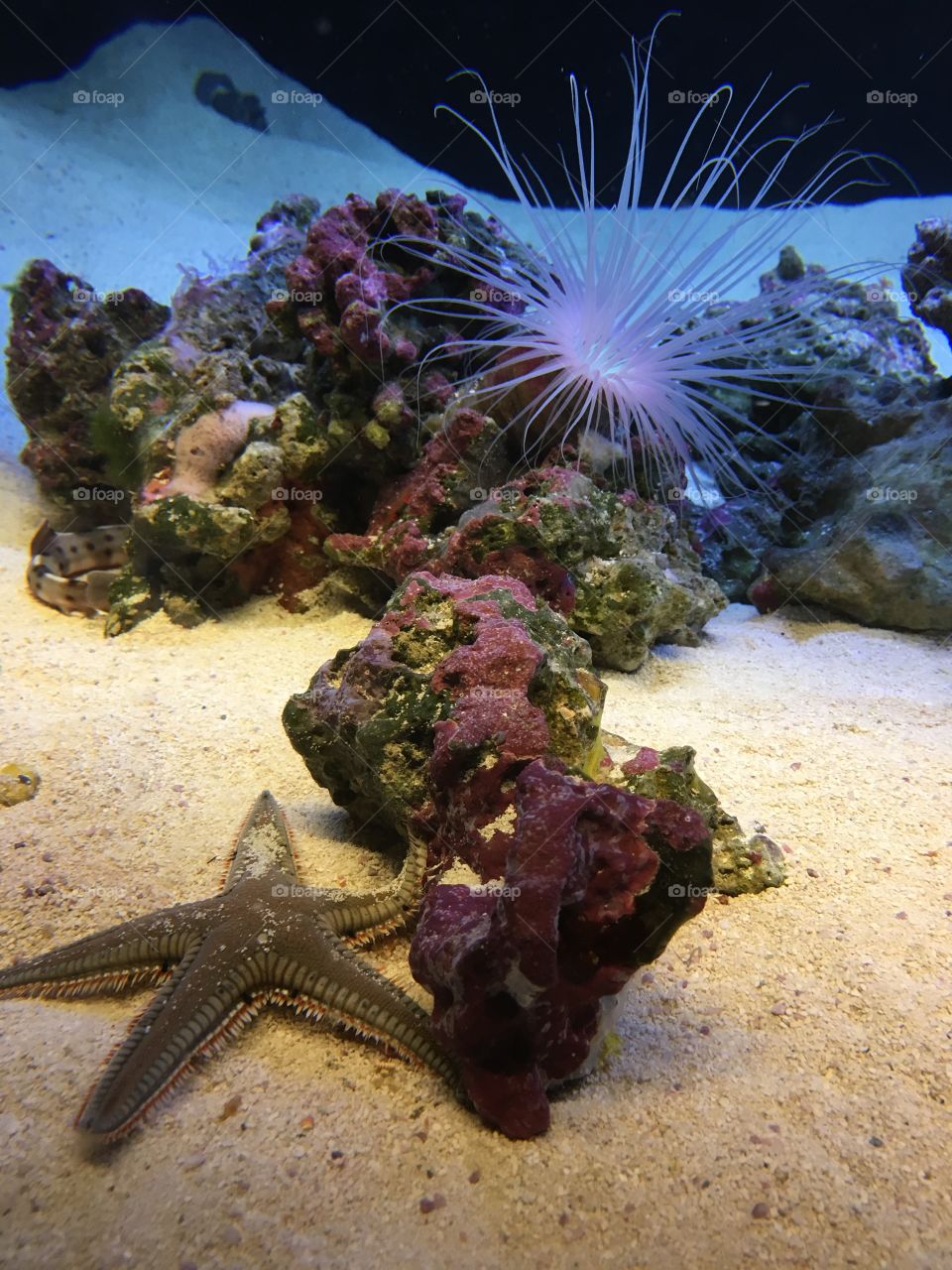 New England Aquarium