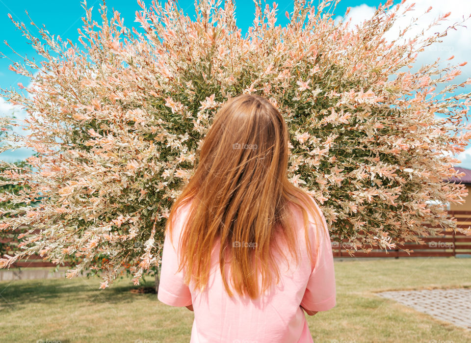 The pink shirt found the pink tree.