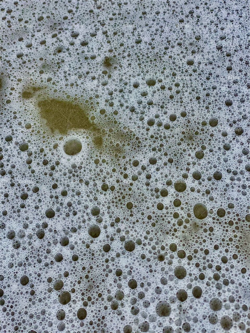 Foap Mission, Circles In Nature! Bubbles And Circles In Sea Foam Close Shot!