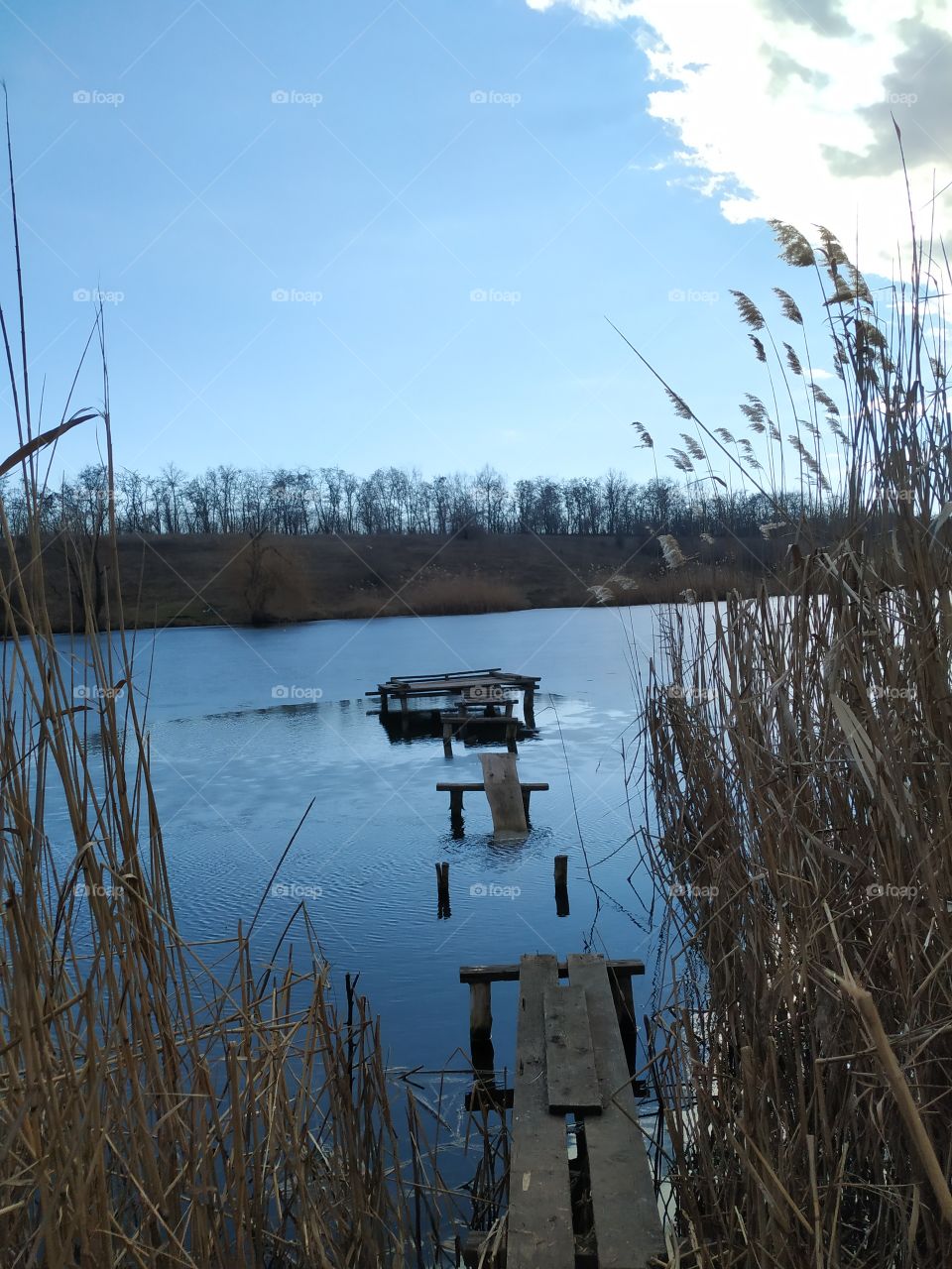 Footbridge on the lake