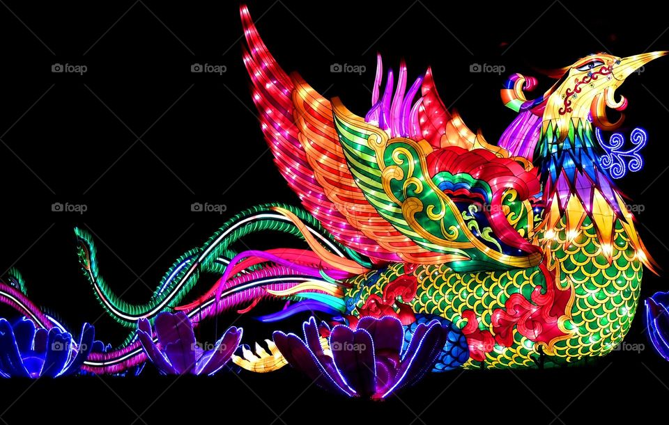 Chinese Dragon Neon Lights Display
