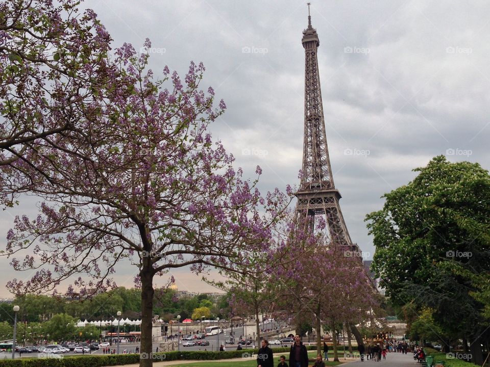 Eiffel Tower, Trocadero