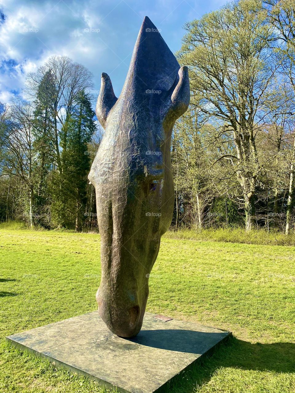 Head of horse