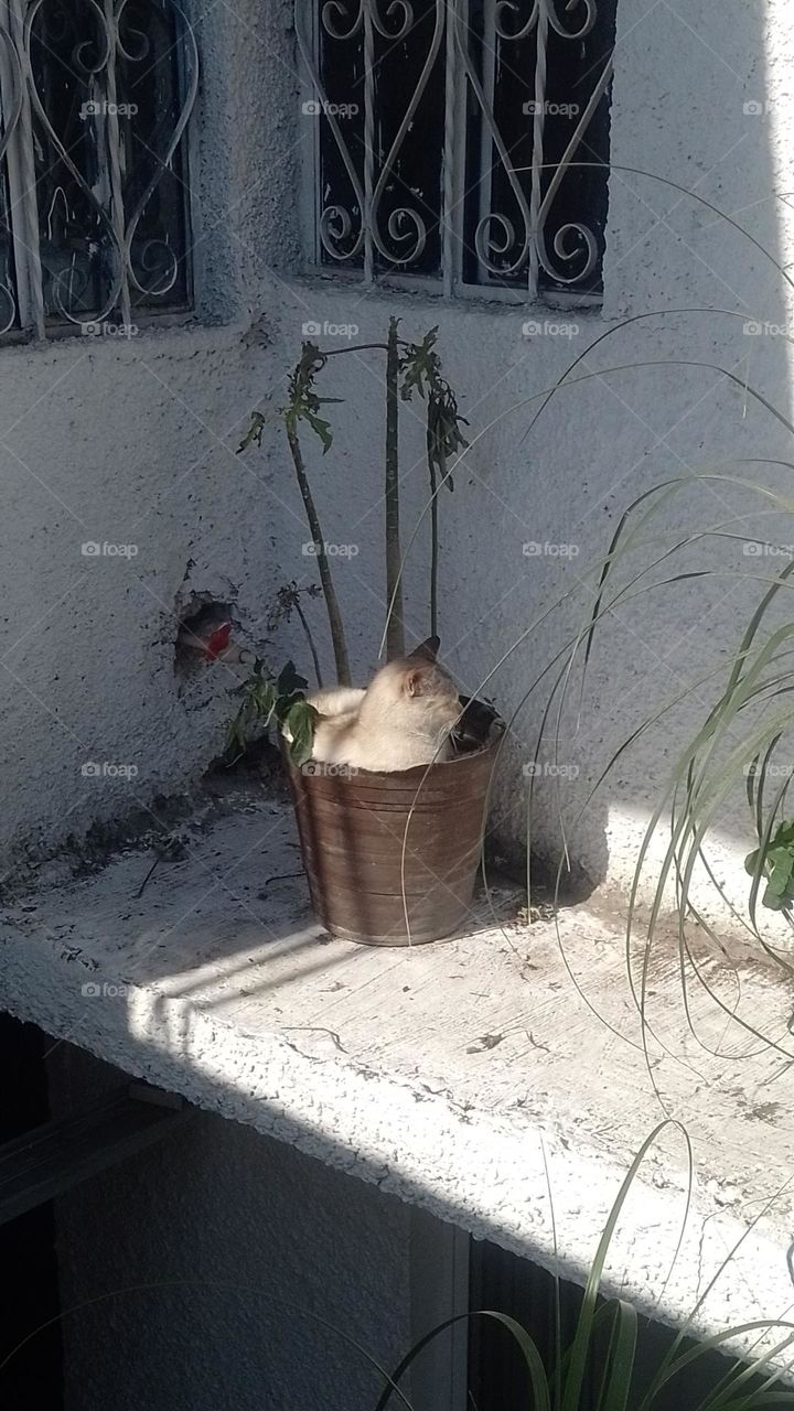 un lugar cómodo para descansar 😺😻