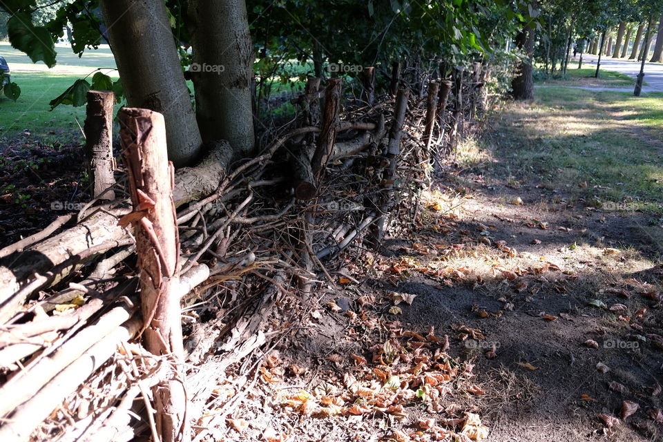 In Nachtegale park in Antwerp