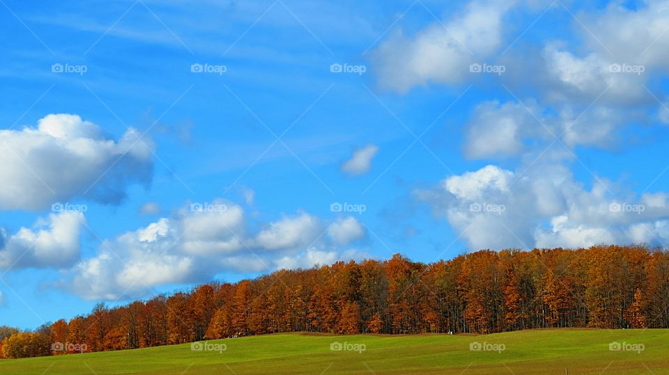 Falls Beautiful contrast in Color