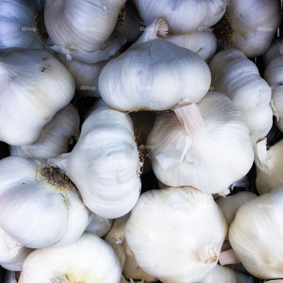 Garlic 