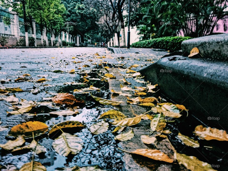 The best one with a low angle perspective 