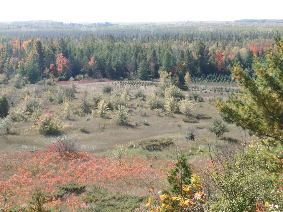 Drummond Island, Michigan 