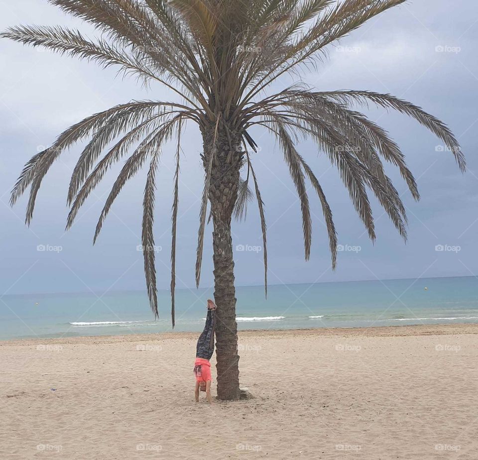 Beach#sea#palm#human