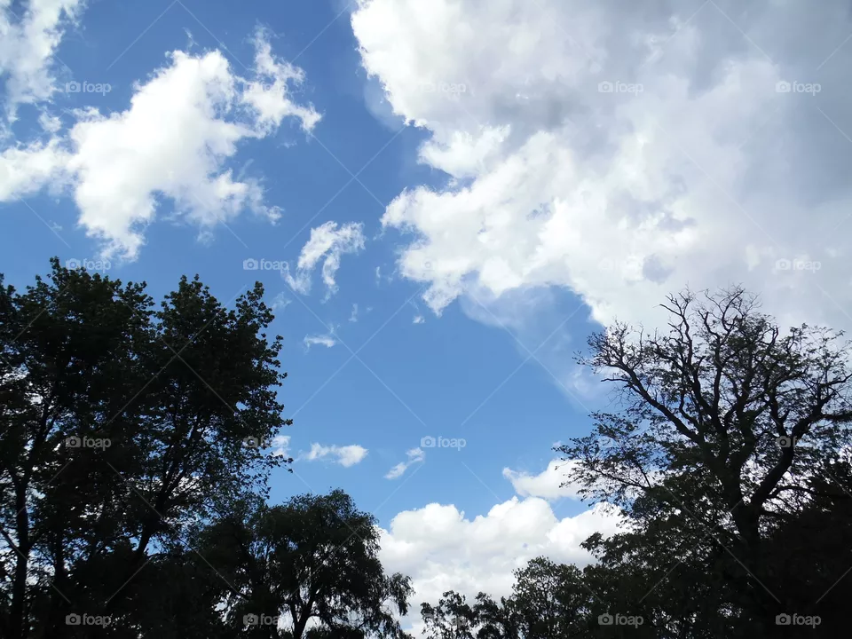 sky