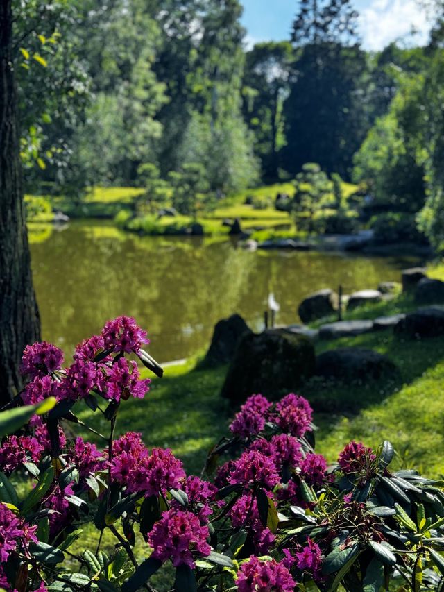 Beautiful park with flowers and pond