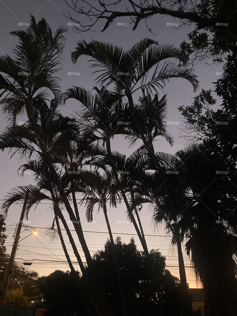 🌄🇺🇸 An extremely beautiful dawn in Jundiaí, interior of Brazil. Cheer the nature! / 🇧🇷 Um amanhecer extremamente bonito em Jundiaí, interior do Brasil. Viva a natureza!