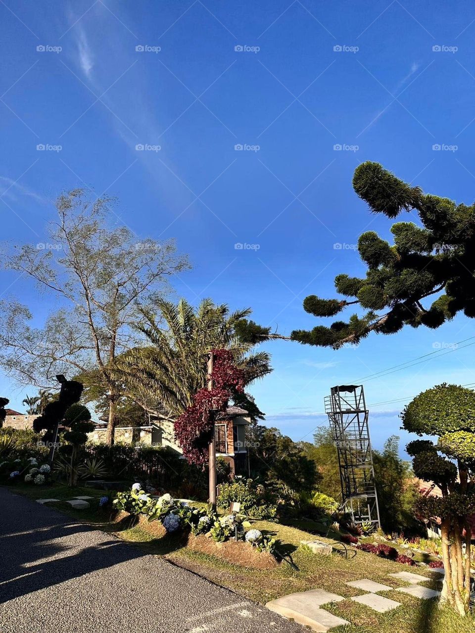 Top view in Jerai Hill