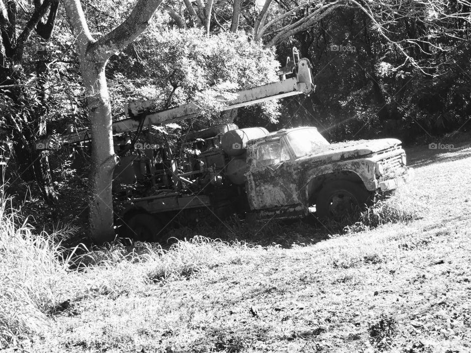 Abandoned truck in the woods