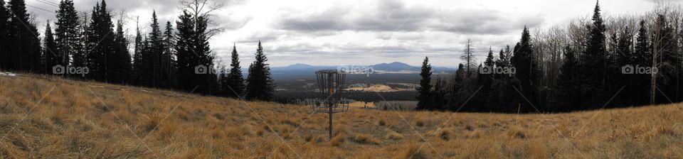 Disc golf in Arizona