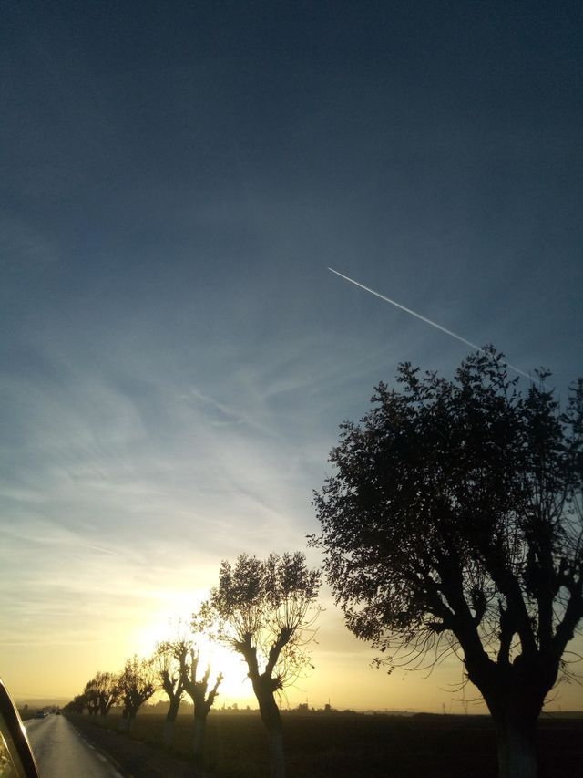 sunset