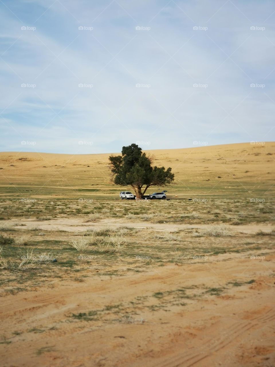 The trip and the picnic to the desert and getting out of the noise of the city is fun