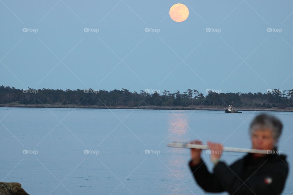 Full moon rising up and a fiddler playing on moon light