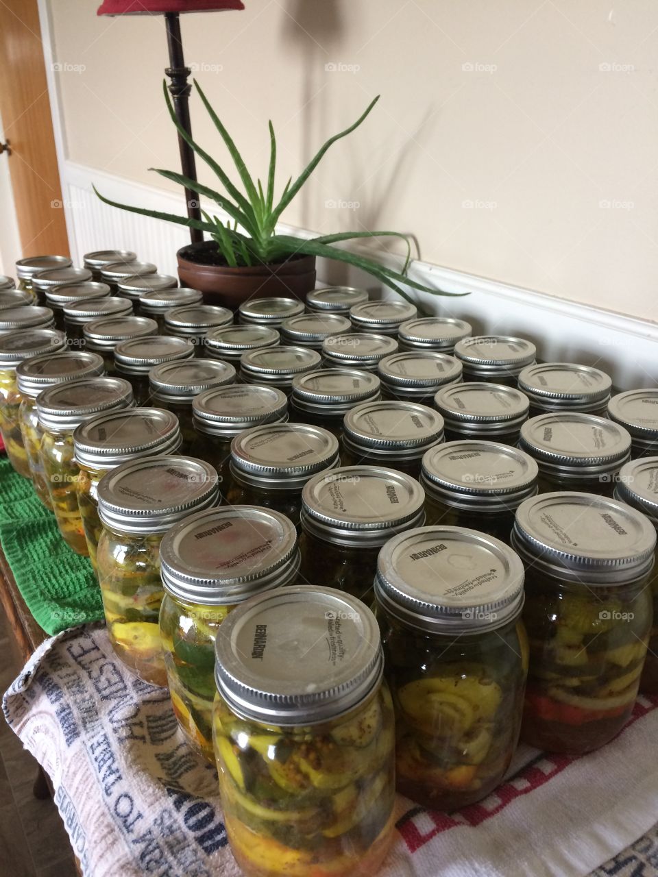 Pickling bread and butter pickles for the winter!