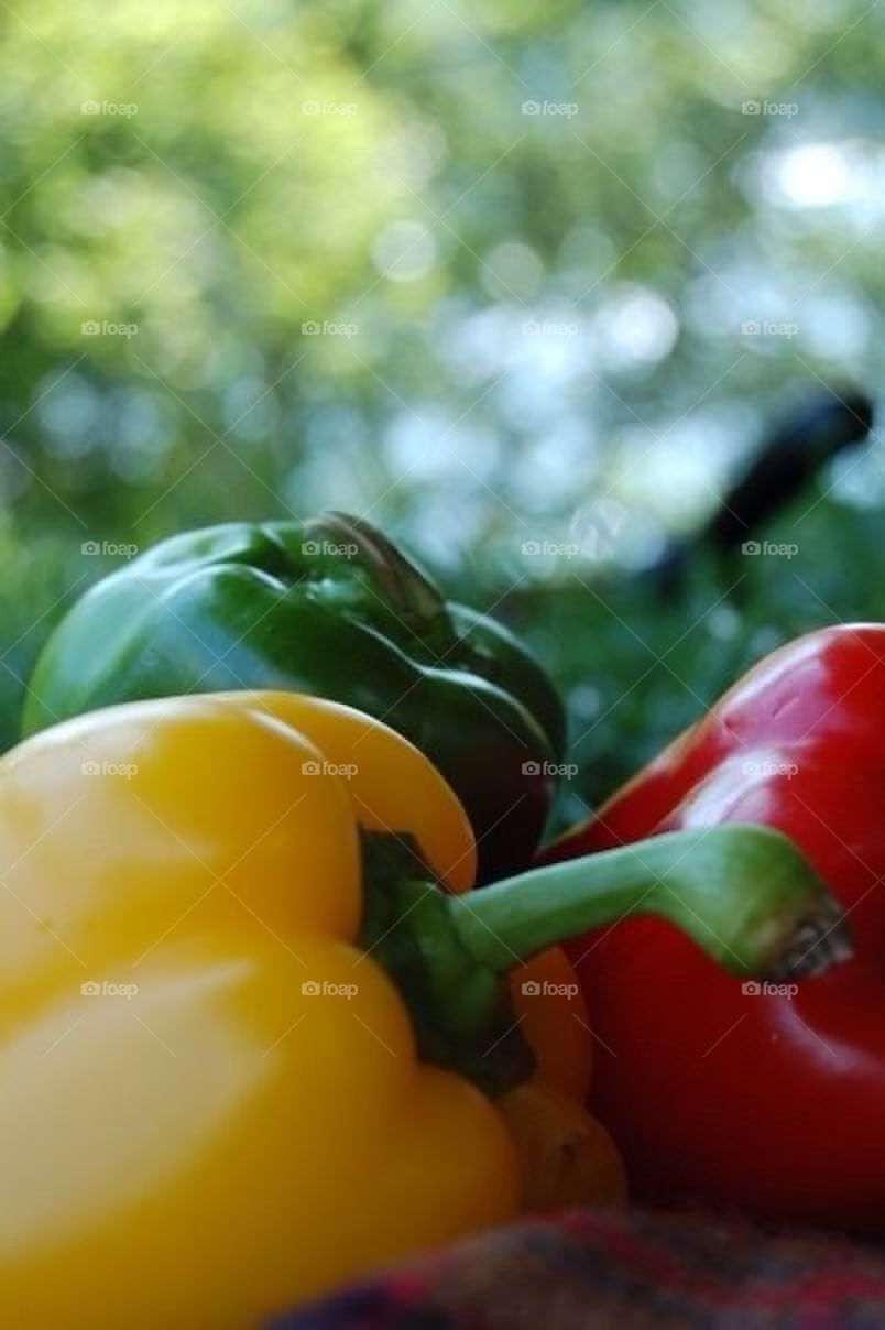 Pepper, summer, veg, healthy