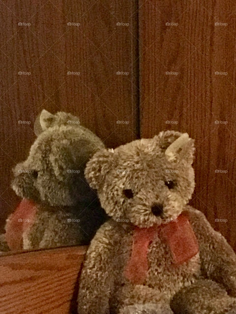 Teddy bear reflection 