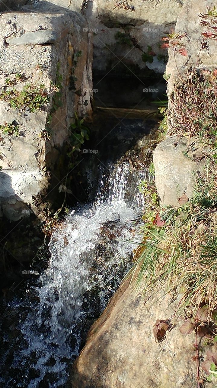 Water, No Person, Stream, Nature, River