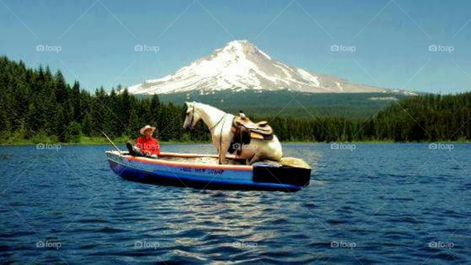 Horse Boatin'