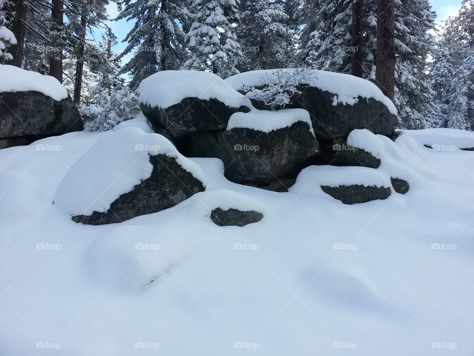 Winter Rocks