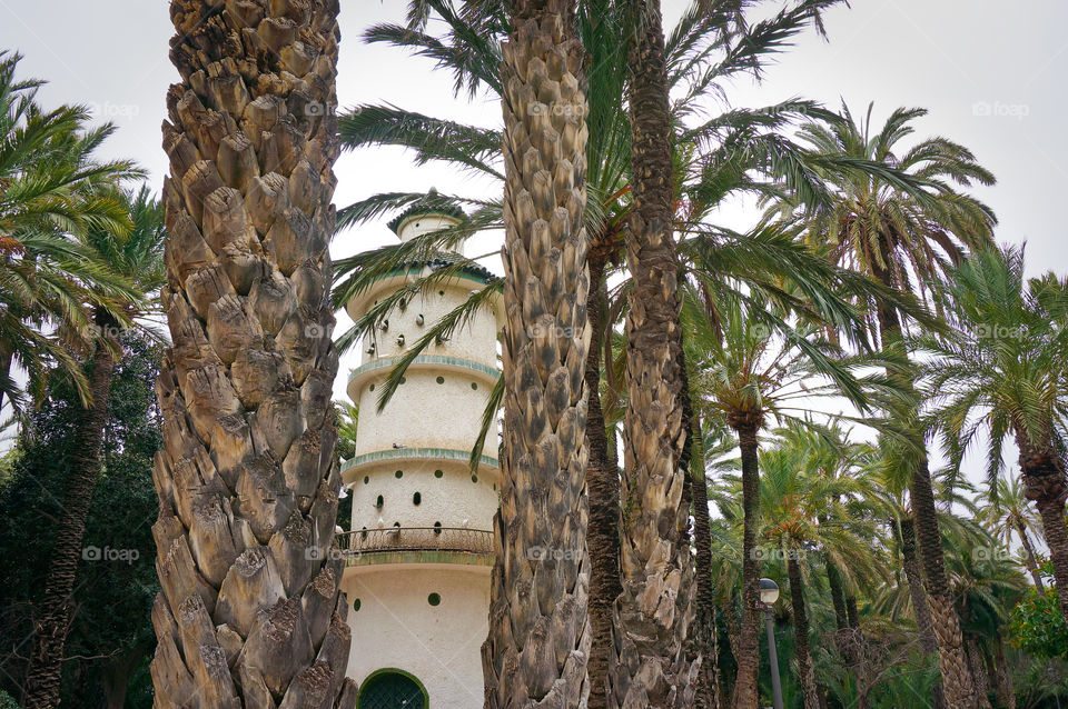 Dovecot tower in palm tree forest in Elche, Alicante, Spain