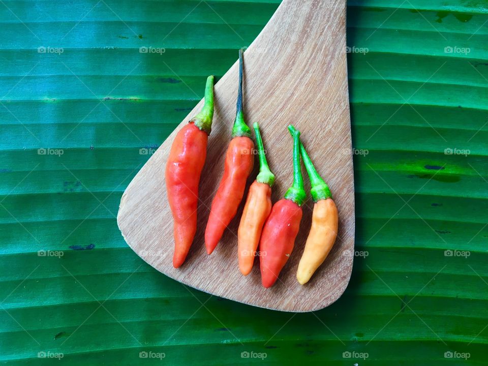 Chilis on a spoon wood
