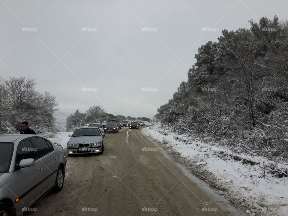 Winter, Snow, Road, Weather, Landscape